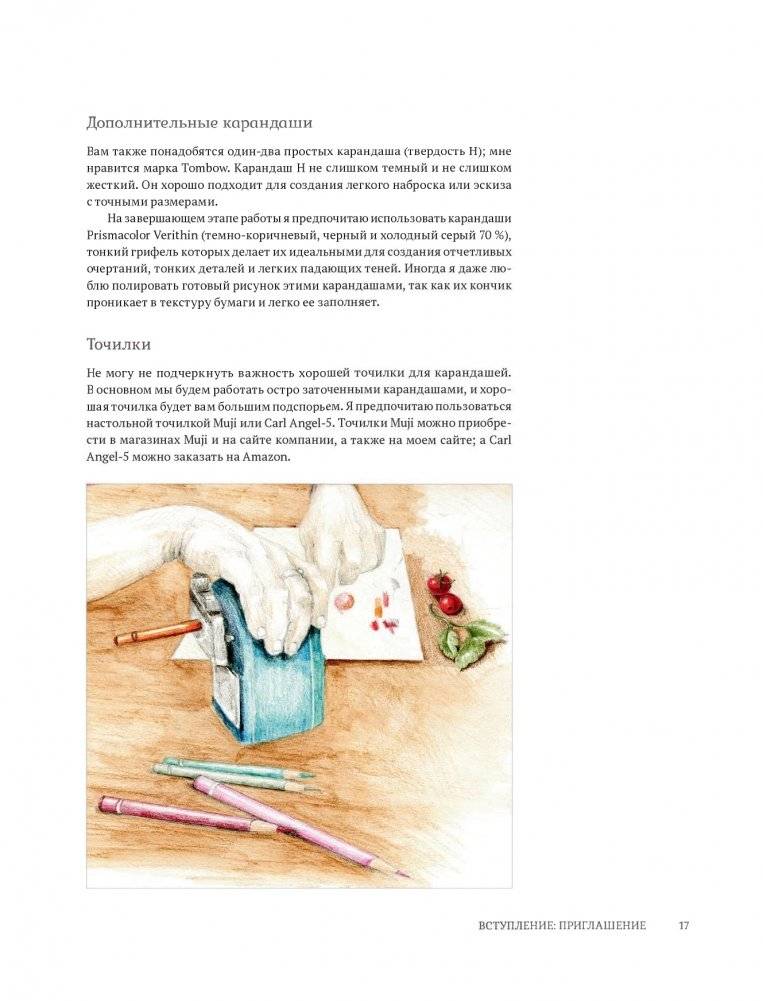 Ботаническая иллюстрация с удовольствием. Пошаговое руководство по изображению цветов, листьев, плодов и других элементов растений фото книги 15