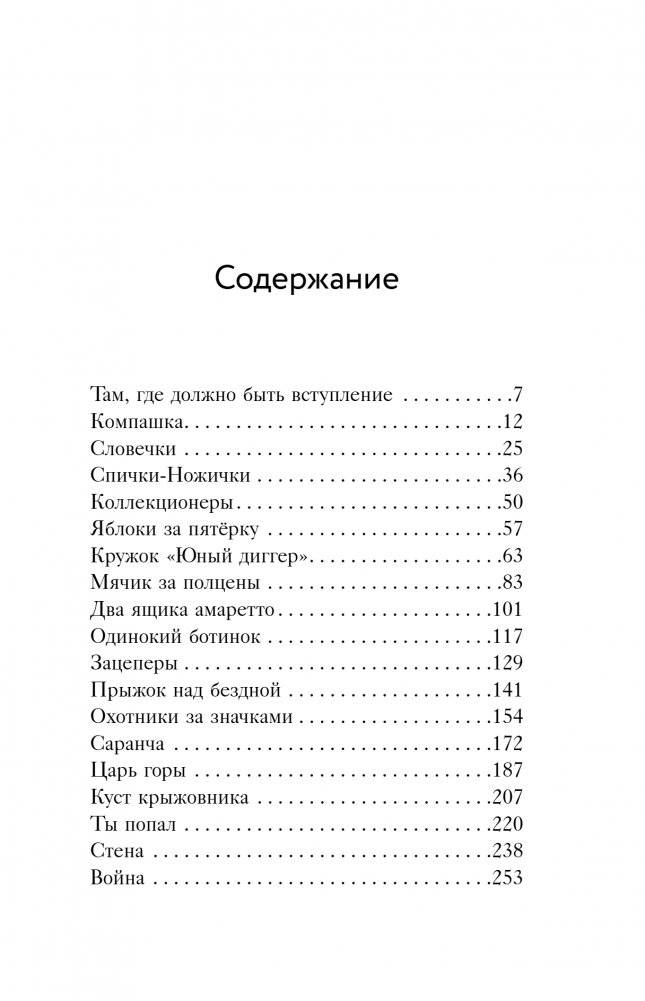 Выходи гулять! Путешествие по дворам нашего детства фото книги 2