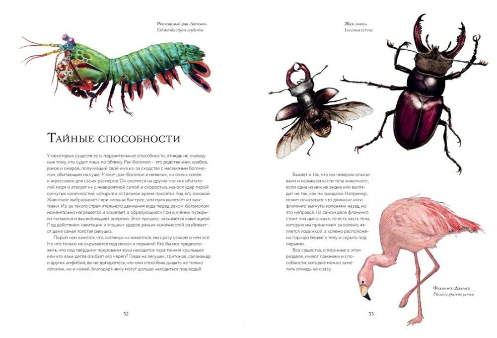 Тайны дикой природы фото книги 7