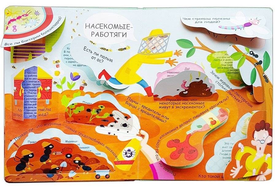 Волшебные окошки. Микромир фото книги 3