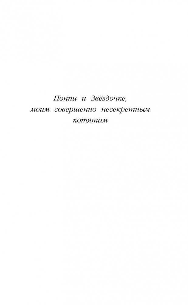 Котенок Кэтти, или Секрет в шкафу фото книги 6