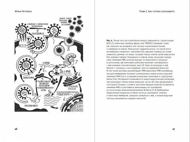 Вирус, который сломал планету. Почему SARS-CoV-2 такой особенный и что нам с ним делать фото книги 3