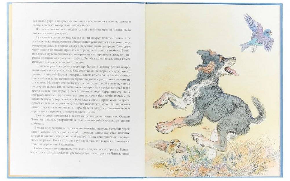 Арно фото книги 2