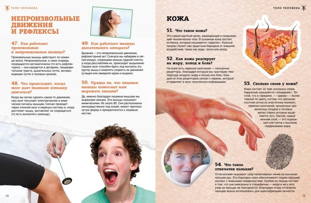 Тело человека фото книги 4