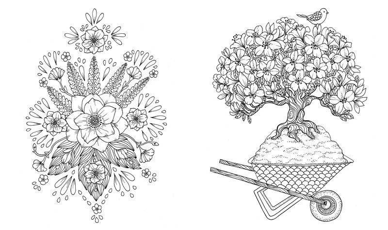 Сумеречный сад фото книги 4