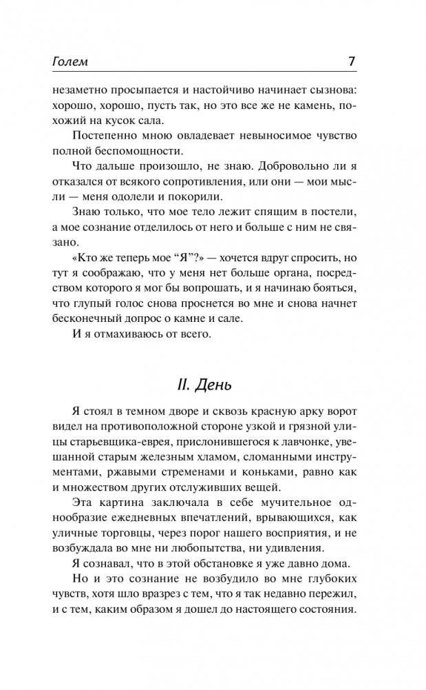 Голем фото книги 4