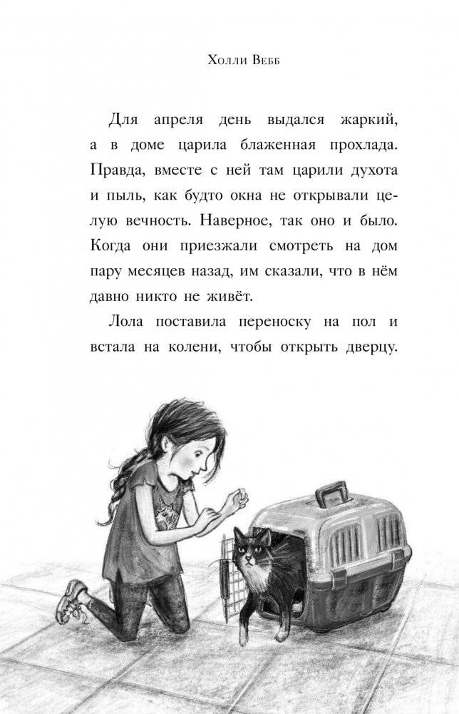 Оленёнок Крапинка, или Бархатистый носик фото книги 4