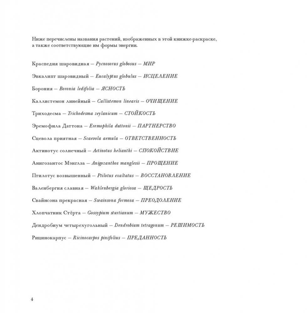 Флоросфера. Умиротворение фото книги 21