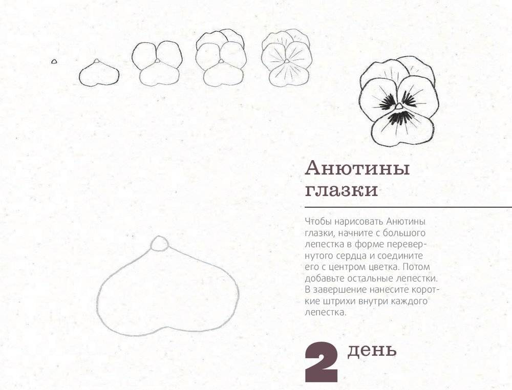 365 дней рисования. Пошаговые техники для начинающих художников фото книги 14
