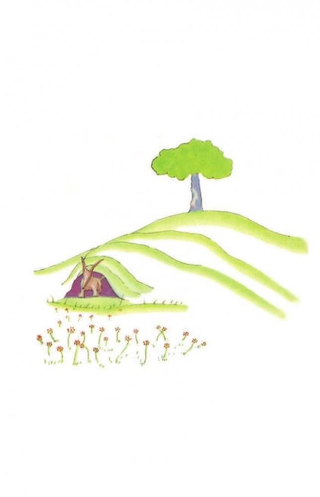 Маленький принц фото книги 10