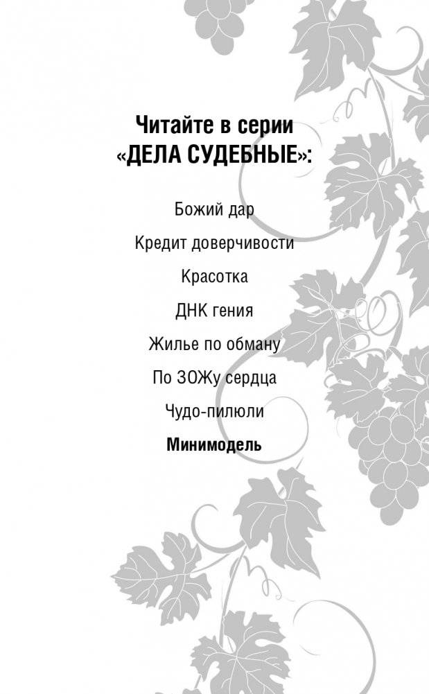 Мини-модель фото книги 4