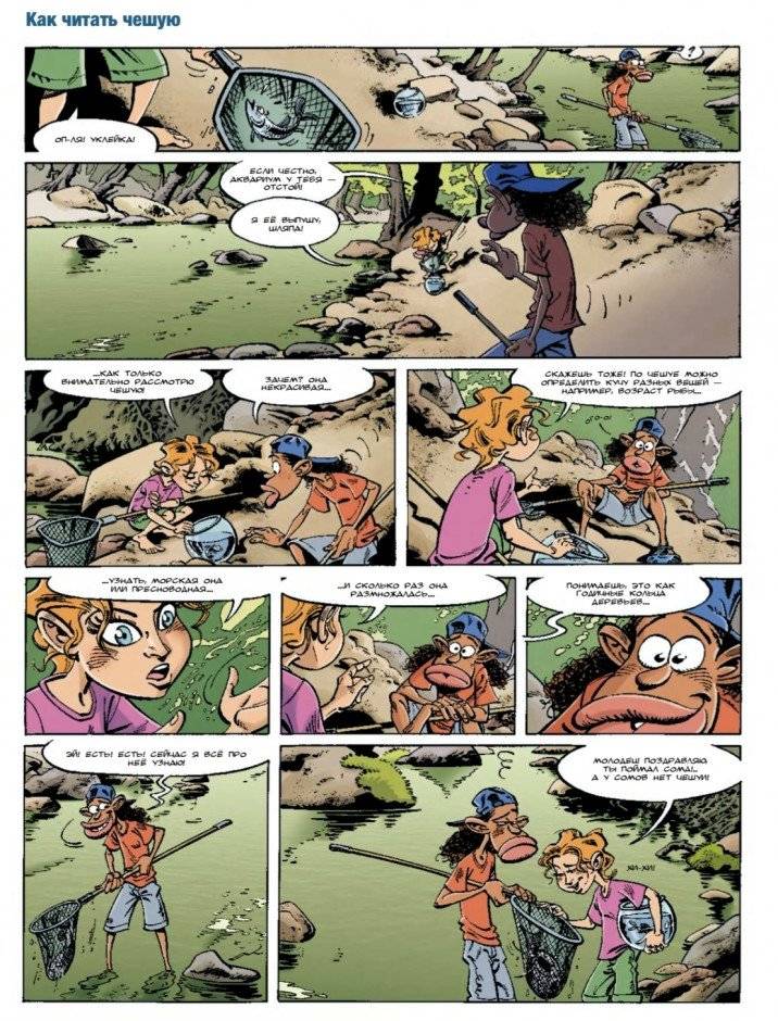 Морские животные в комиксах. Том 4 фото книги 5