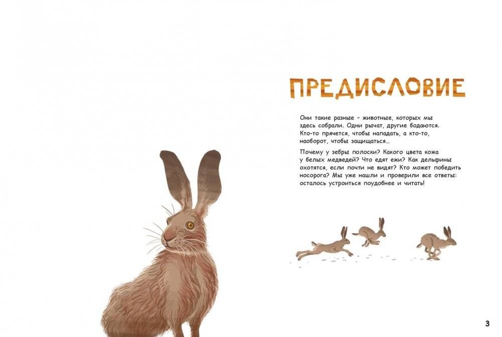 Они такие разные! фото книги 2