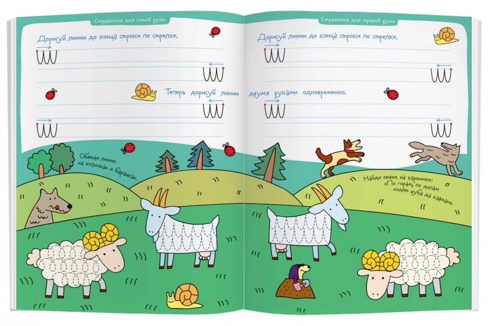 Многоразовая раскраска. Колечки у овечки фото книги 3