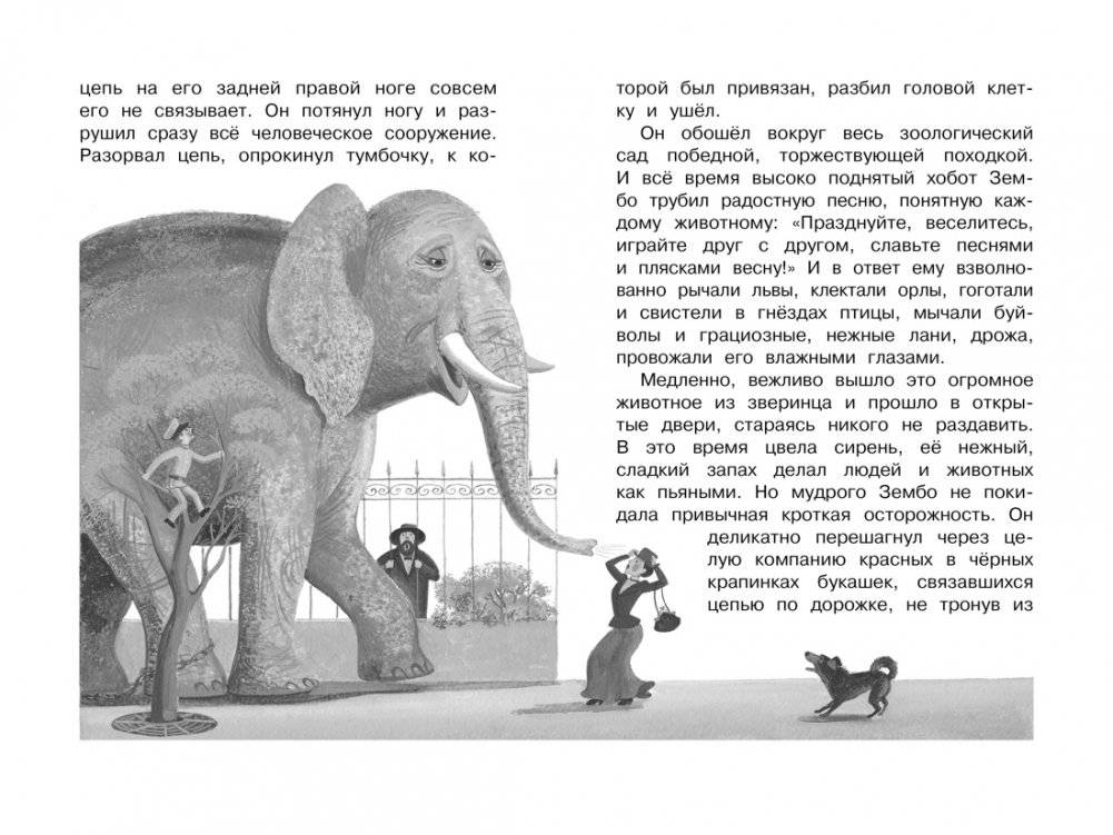 Белый пудель фото книги 5