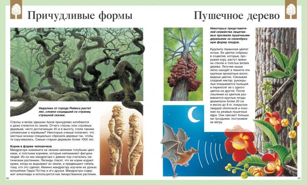 Детская энциклопедия. 250 чудес света фото книги 5