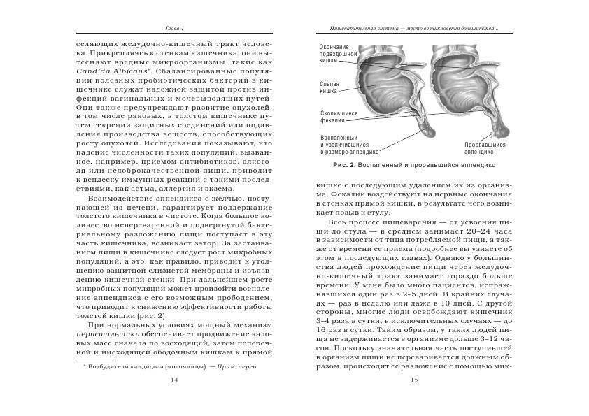 Очистите свой организм от болезней фото книги 10