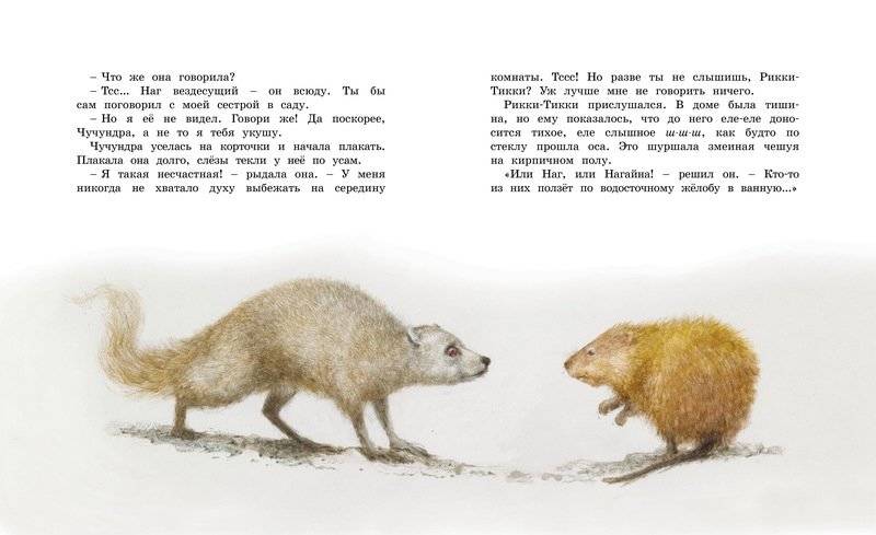 Рикки-Тикки-Тави фото книги 7
