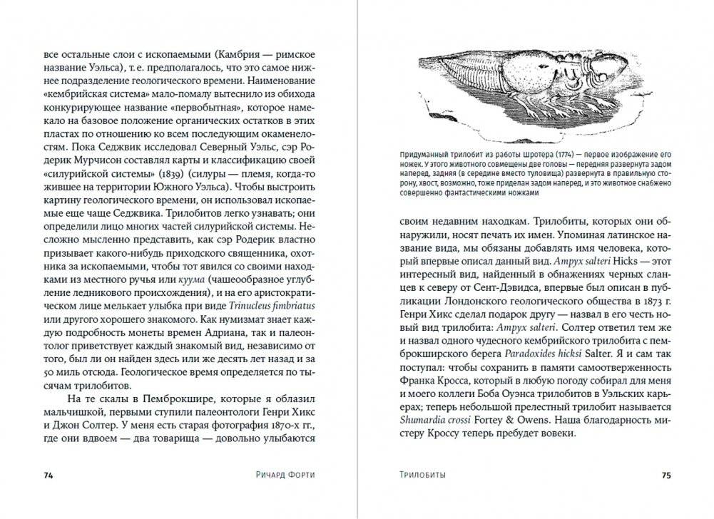 Трилобиты. Свидетели эволюции фото книги 3