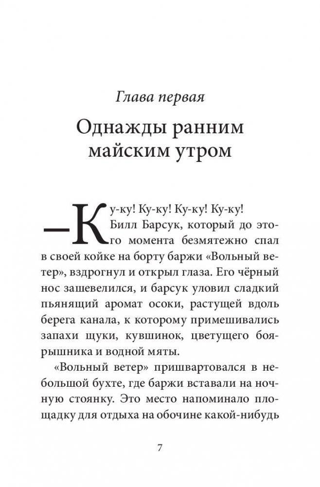 Билл Барсук и пираты. Книга 3 фото книги 5