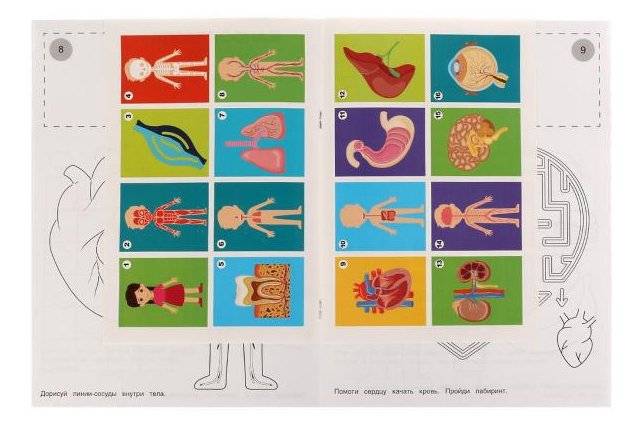 Внутренние органы. Раскраска. Атлас. Тело человека фото книги 2