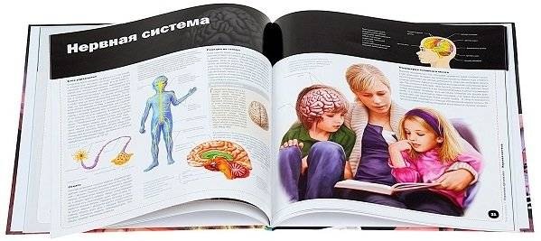 Тело человека (+3D очки) фото книги 2