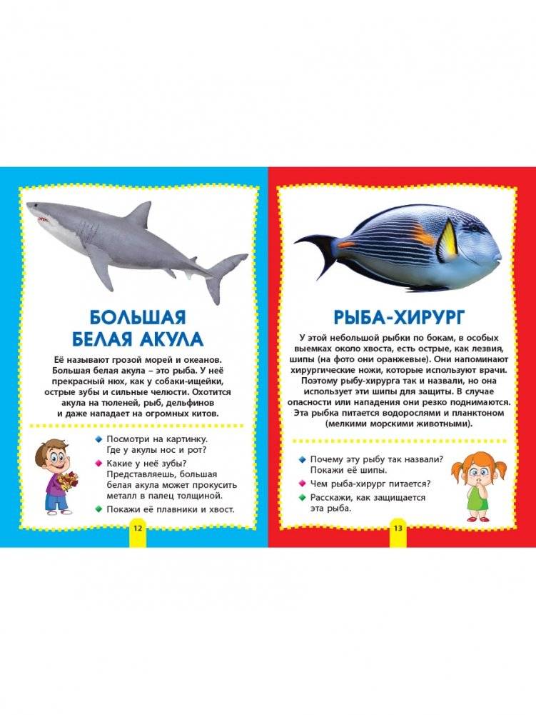 Морские обитатели. Фотокнига для самых маленьких фото книги 5