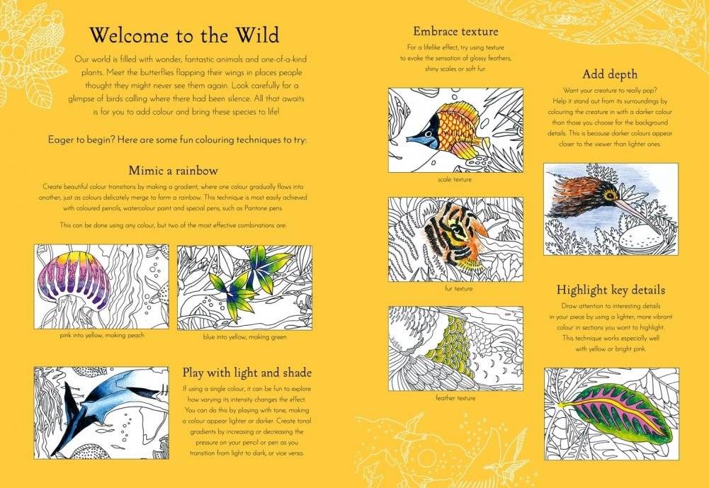 Return of the Wild Colouring Book фото книги 2