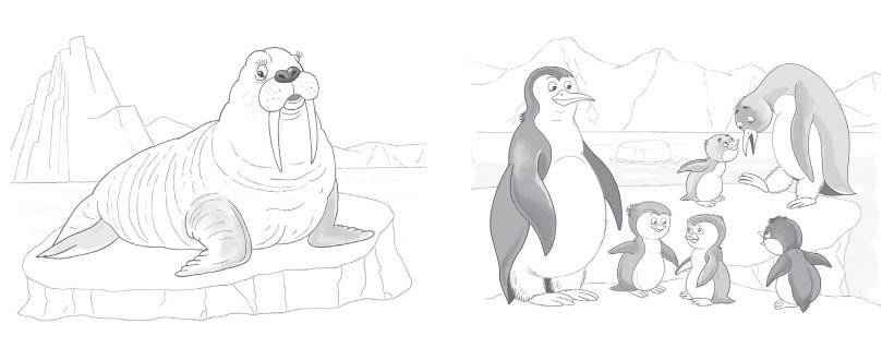 Многоразовая водная раскраска. Животные фото книги 2