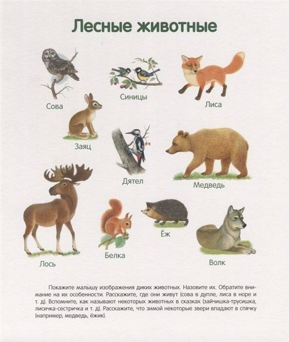 Первая книга малыша фото книги 2