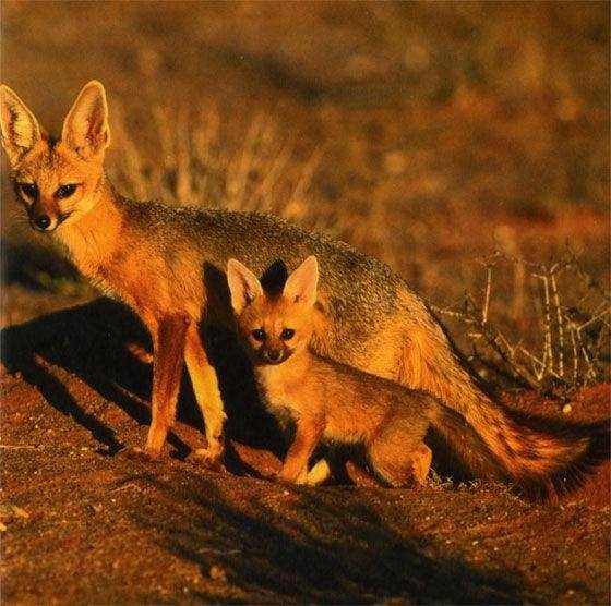 Дочки-матери фото книги 8