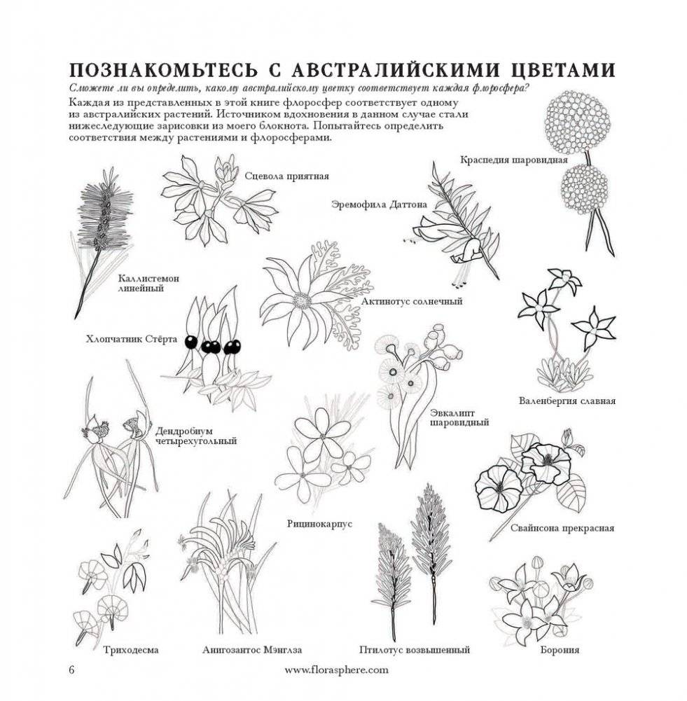 Флоросфера. Умиротворение фото книги 19