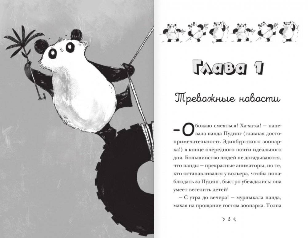 Панда за дверью фото книги 2
