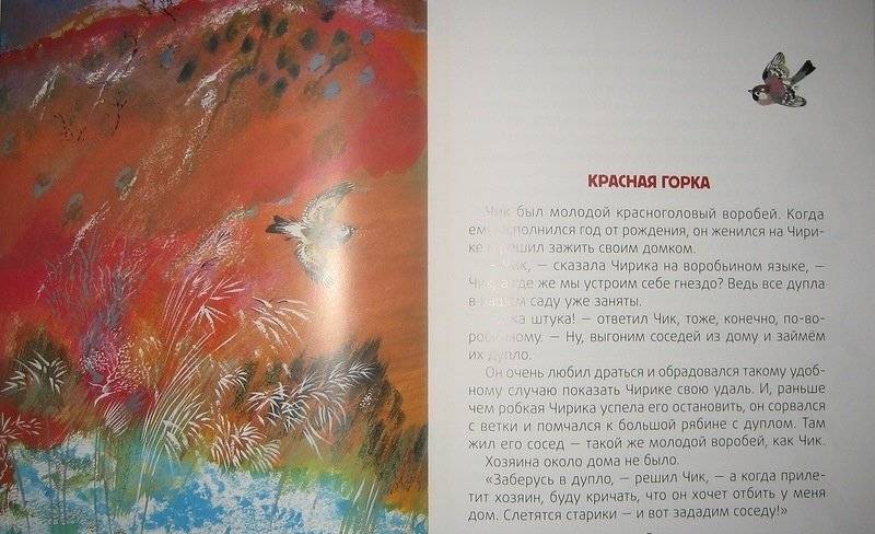 Лесные разведчики фото книги 3