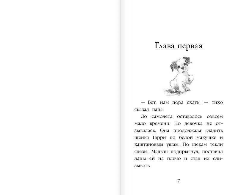 Щенок Гарри, или Здравствуй, дом! фото книги 4