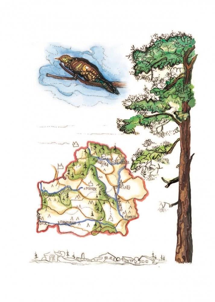 Адкуль пайшлі птушкі. Легенды пра птушак фото книги 8