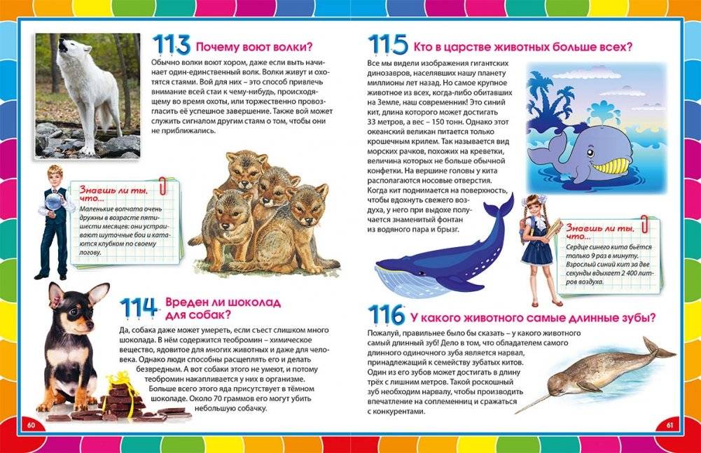Лучшая энциклопедия для детей от 6 до 12 лет фото книги 4