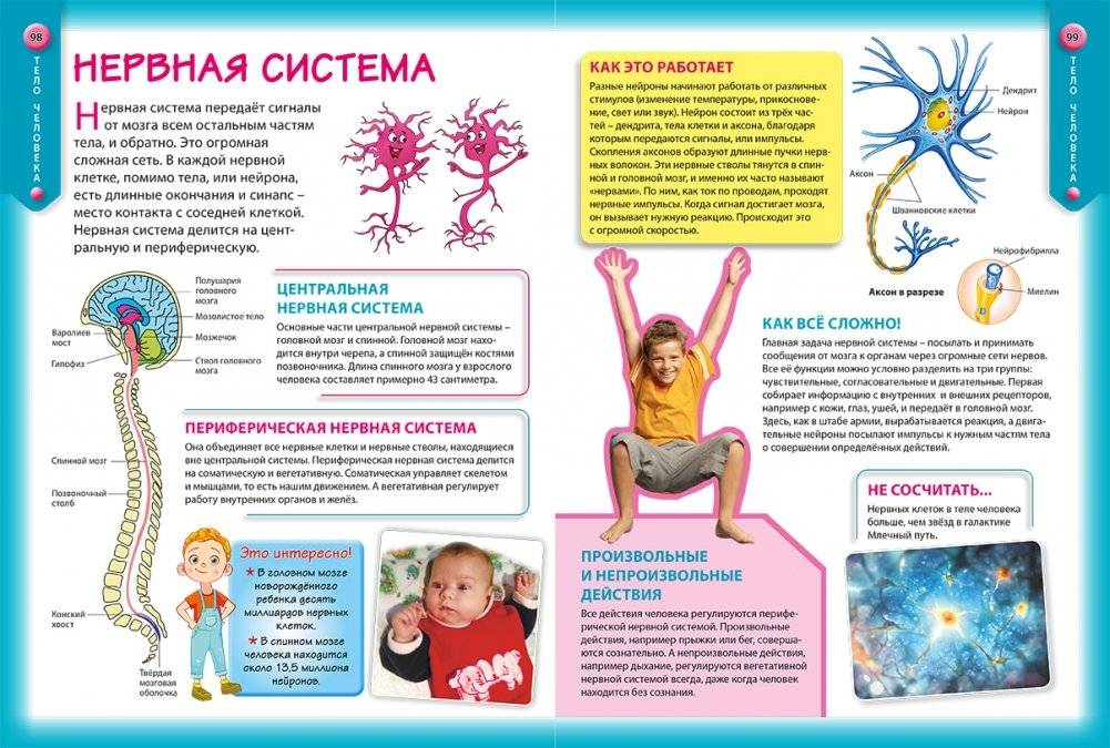 Лучшая детская энциклопедия в вопросах и ответах фото книги 2