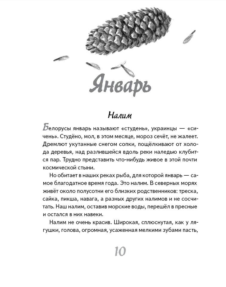 Иду по тайге фото книги 4