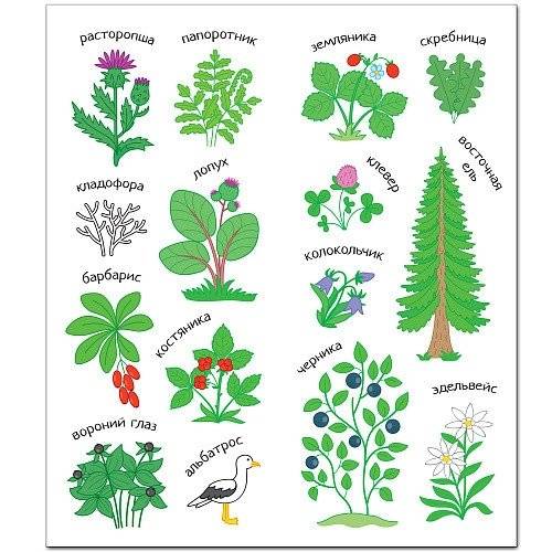 Комплект книг. Раскрась Россию (количество томов: 2) фото книги 5