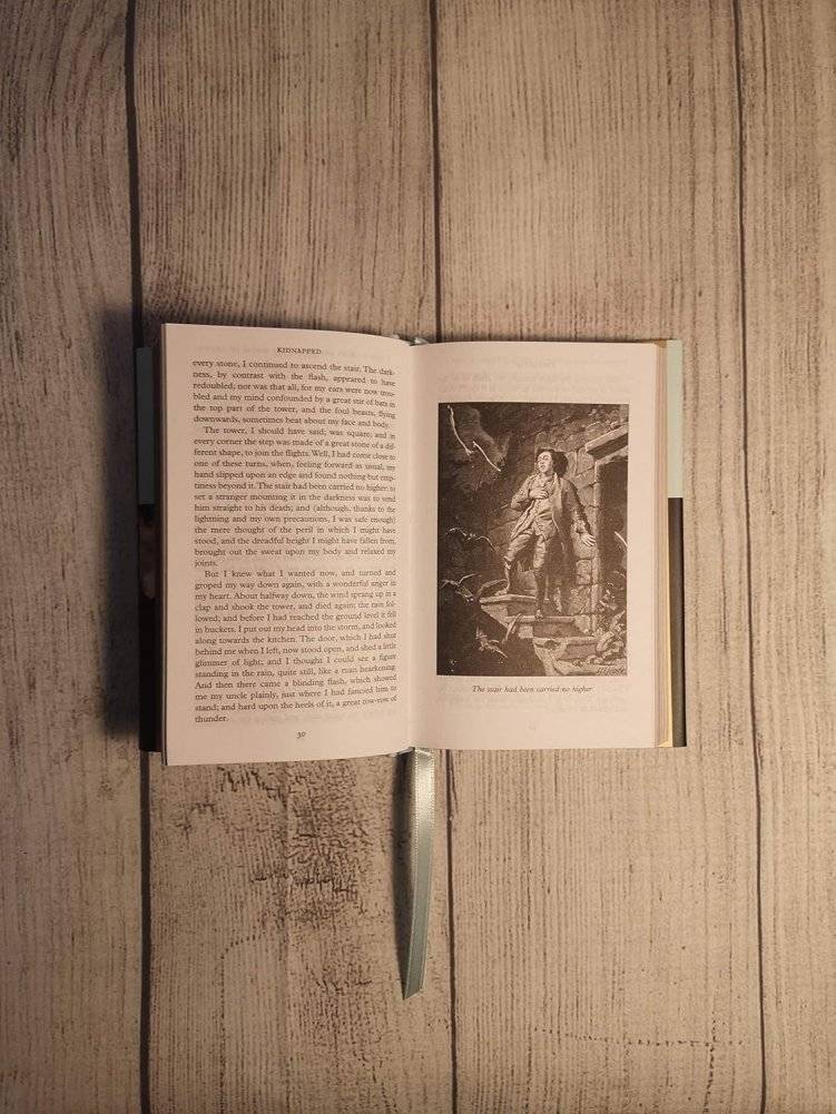 Kidnapped фото книги 5