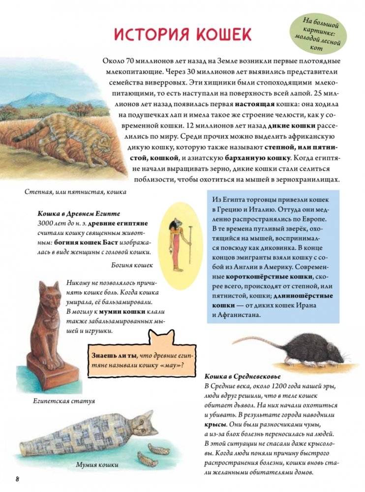 Моя самая красивая книга о кошках и собаках фото книги 5