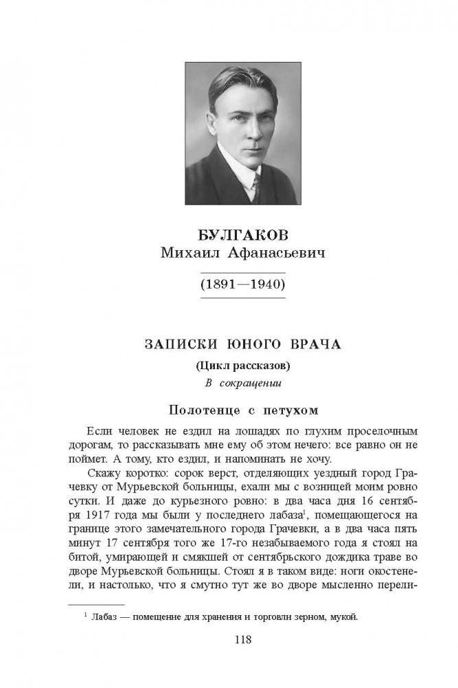 Сборник прозаических произведений для дополнительного чтения в 11 классе фото книги 4