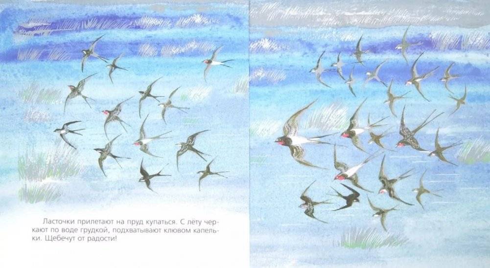 Бобровый пруд фото книги 2