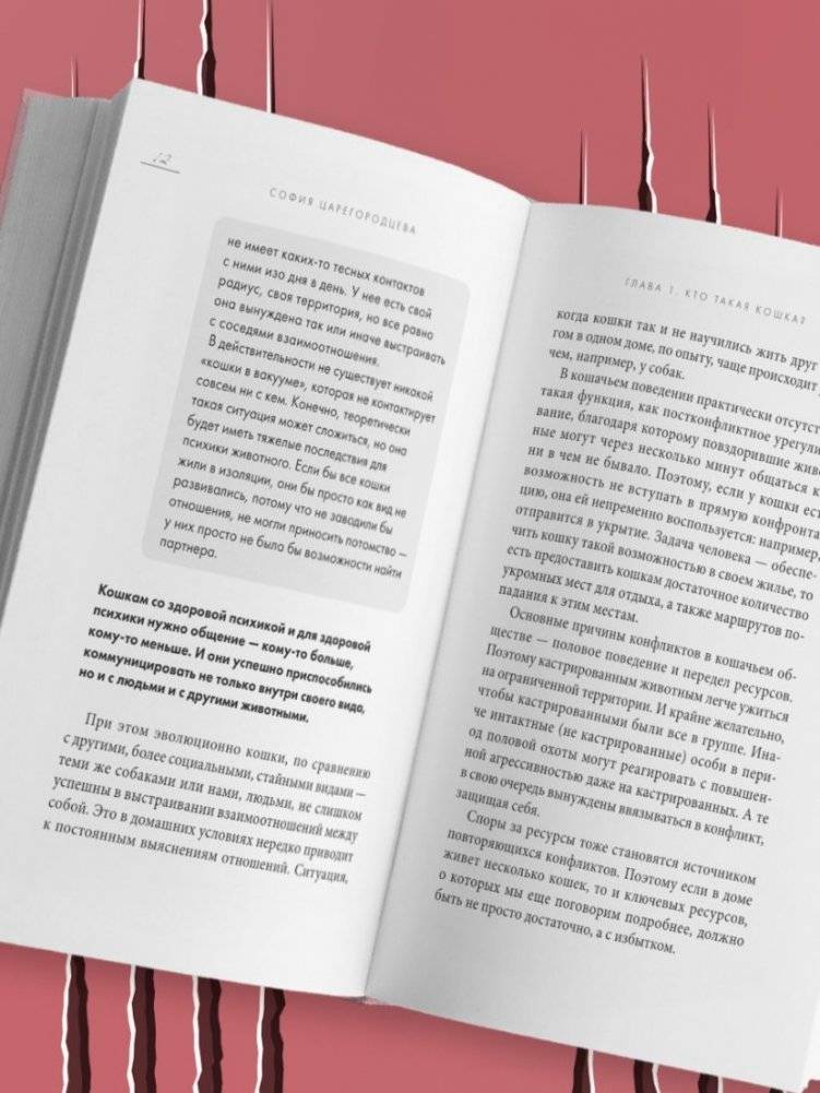 Кошачий закон и порядок. Как найти общий язык с кошкой и не стать жертвой ее капризов фото книги 4