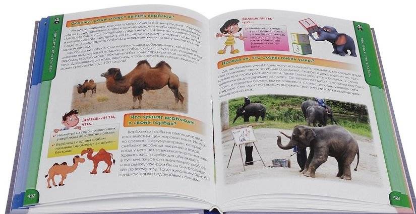 Что? Как? Почему? Зачем? Большая детская энциклопедия фото книги 3