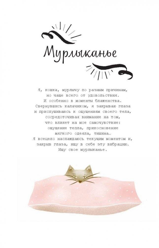 Кошачья мудрость. Хюгге-дневник фото книги 9