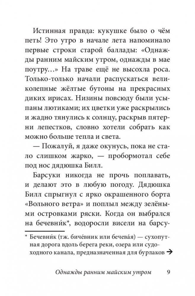 Билл Барсук и пираты. Книга 3 фото книги 7