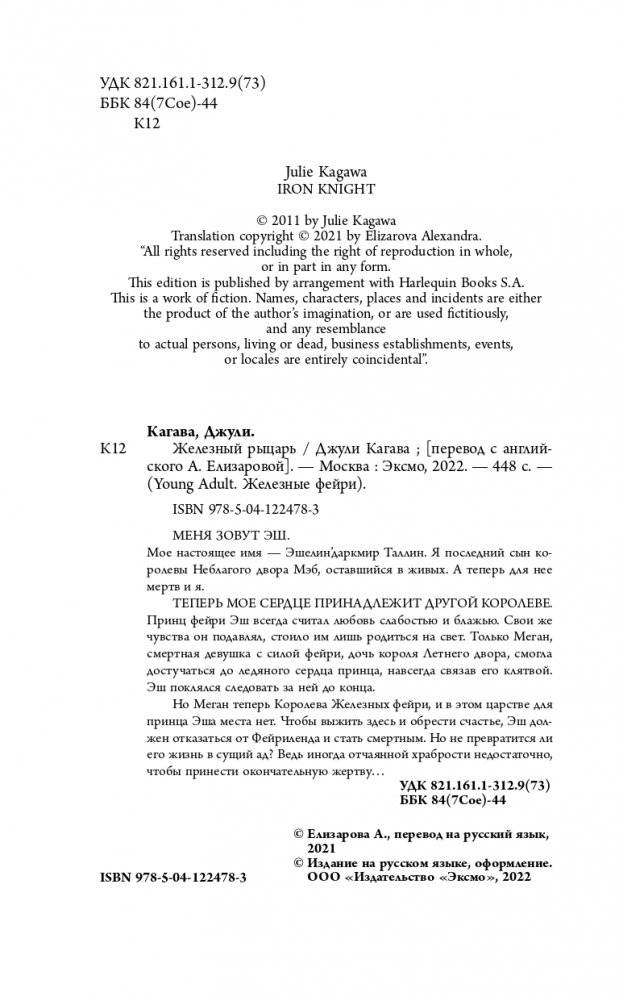 Железный рыцарь (#4) фото книги 5