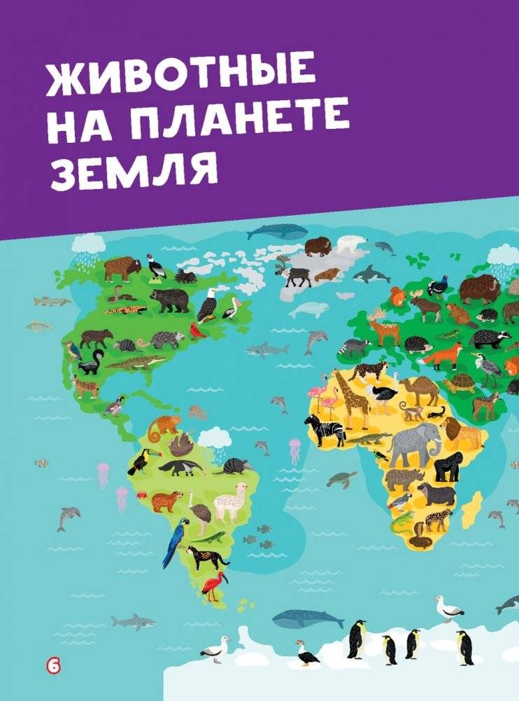 Моя первая большая книга о животных фото книги 12